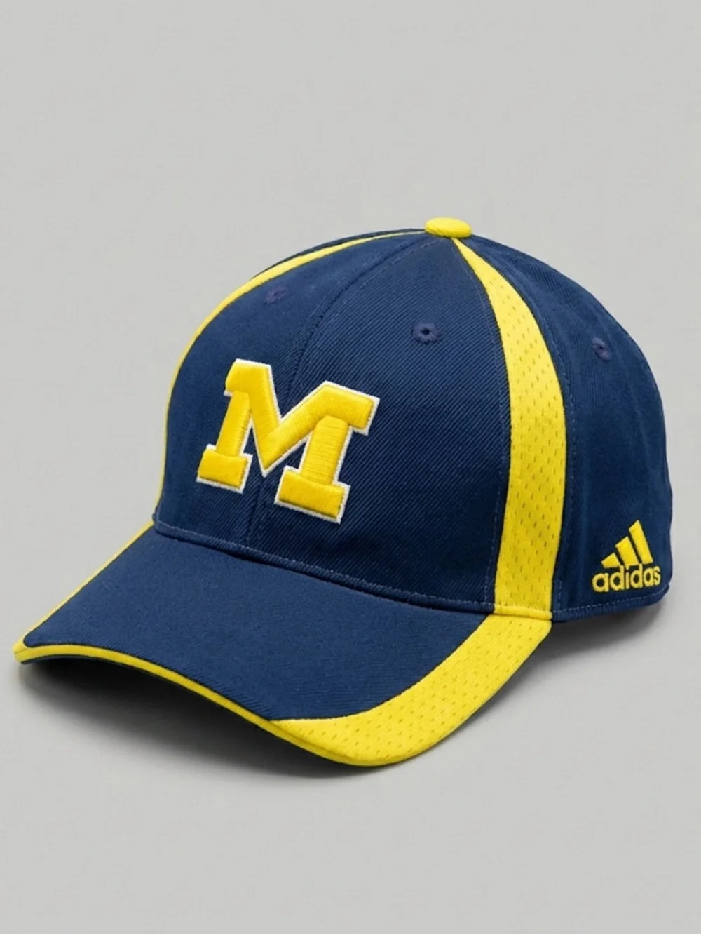 Adidas Michigan Wolverines 2010 Camp Randall Hockey Classic Fitted Hat Cap